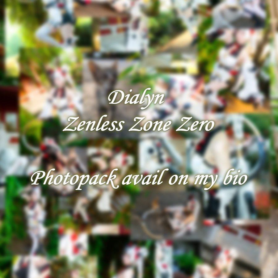 Dialyn ZZZ Photopack